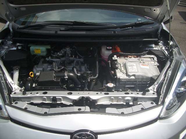 U00045486791_34_001.jpg