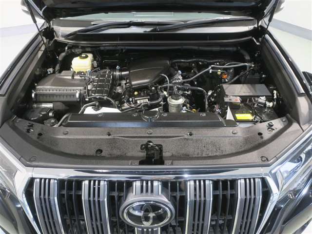 U00048487978_12_001.jpg
