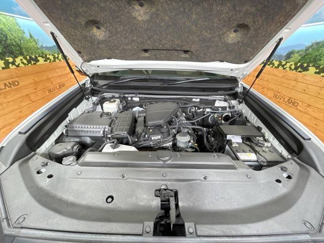 UZ0047973301_19_002.jpg