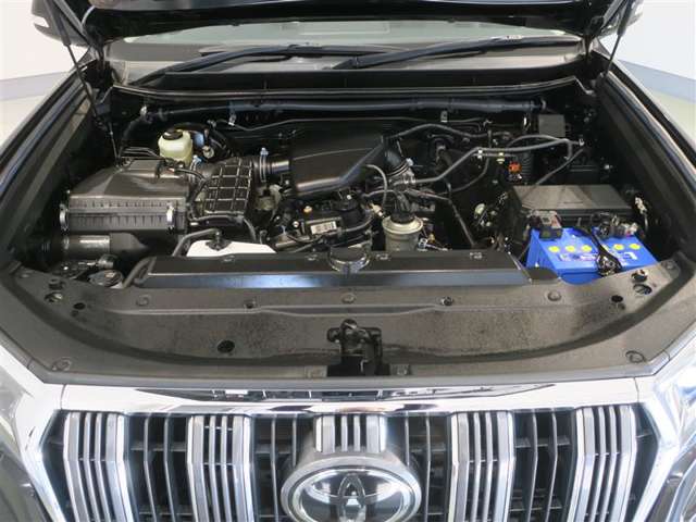 U00047789755_12_001.jpg