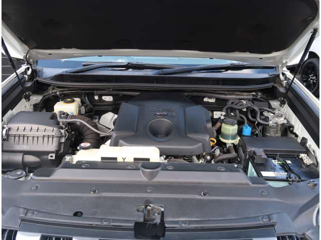 U00048363637_78_001.jpg