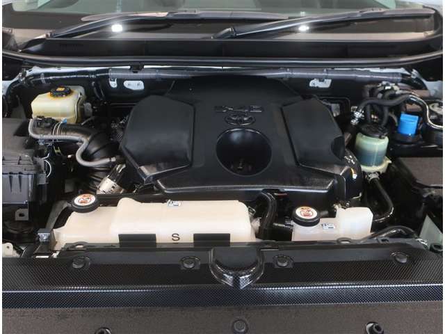 U00048165649_19_002.jpg