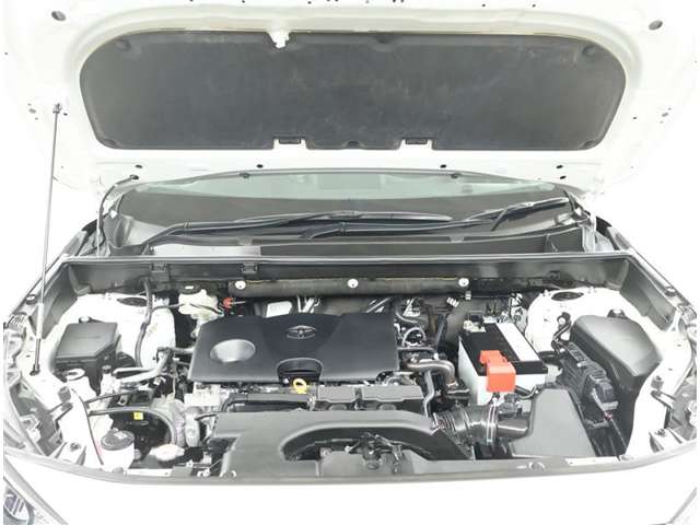 U00048245203_15_001.jpg