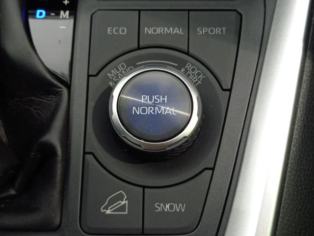 UZ0048096953_39_001.jpg