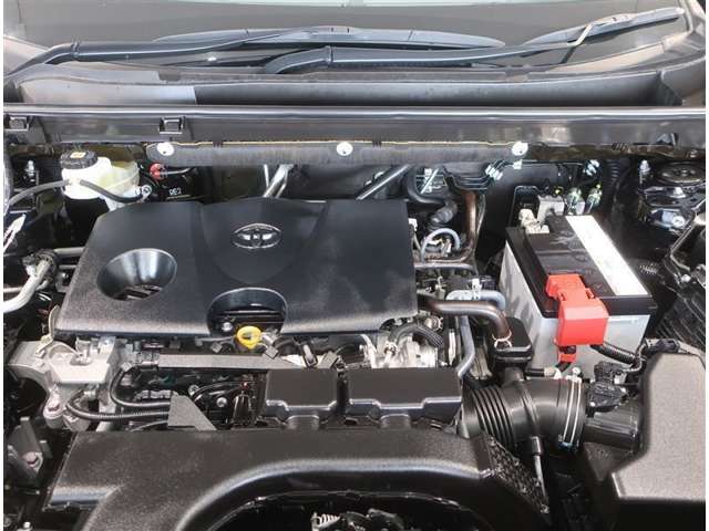 U00048449921_19_002.jpg
