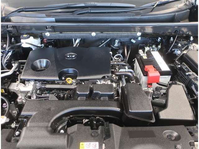 U00047958954_19_002.jpg