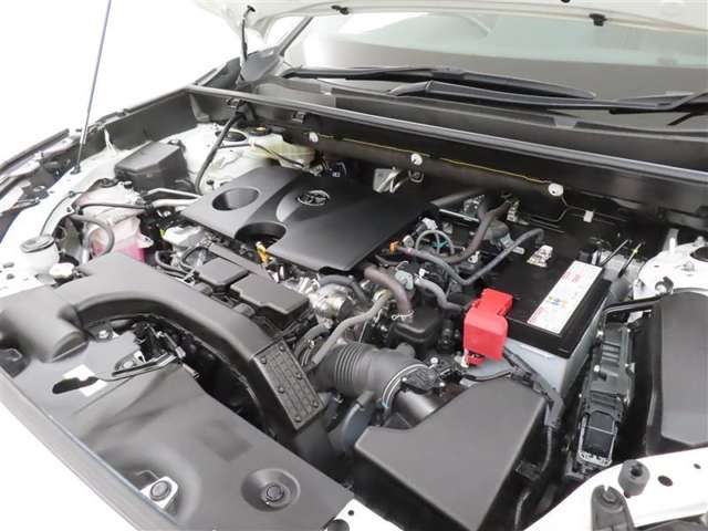 U00048011080_48_001.jpg