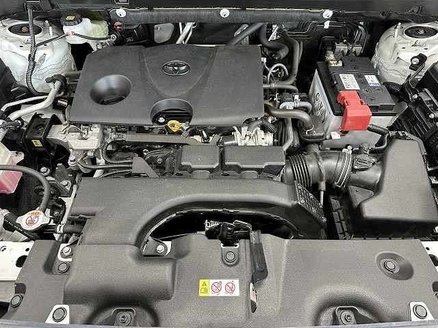 U00048575035_10_001.jpg