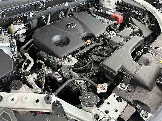 U00048575035_38_001.jpg