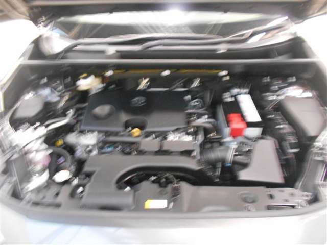 U00048520892_19_001.jpg