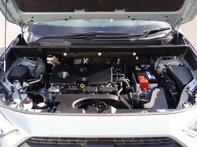 U00048384401_2_001.jpg