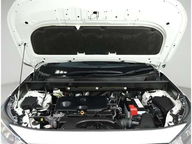 U00048397890_9_001.jpg