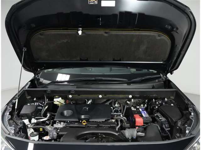 U00048358391_11_002.jpg