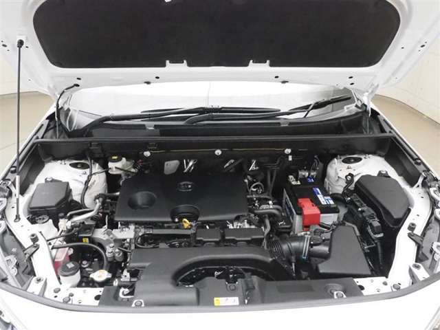 U00048152894_43_002.jpg