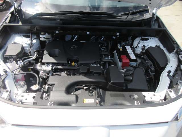 U00048311982_31_001.jpg