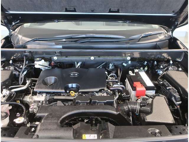 U00045737098_19_002.jpg