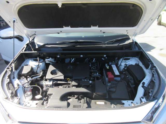 U00048053370_18_001.jpg