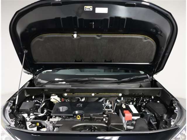 U00048547675_11_001.jpg