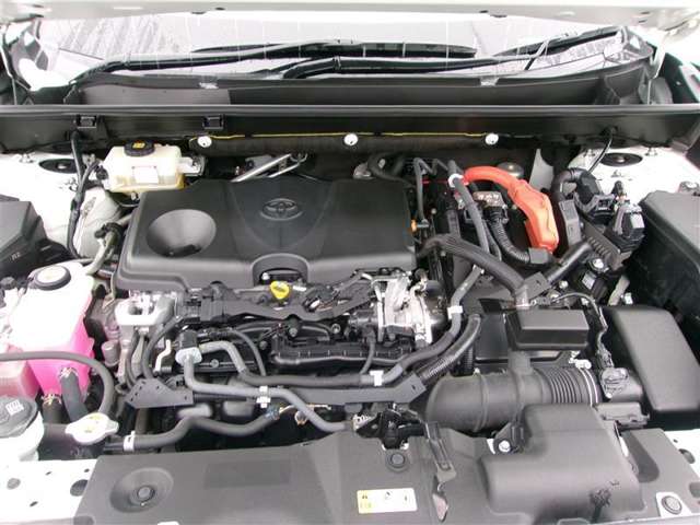 U00048205704_35_001.jpg