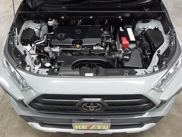 U00048226428_56_002.jpg