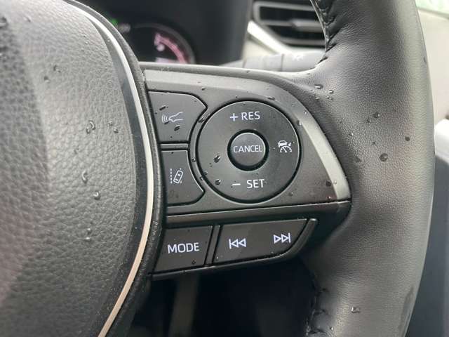 U00048174231_40_001.jpg
