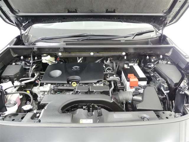 U00048232788_18_003.jpg