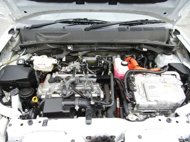 U00048278409_15_001.jpg
