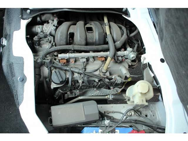 U00048192929_73_001.jpg