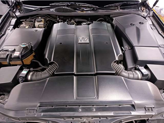 U00048497761_67_002.jpg