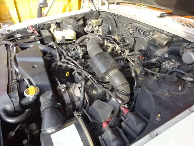 U00045062196_9_001.jpg