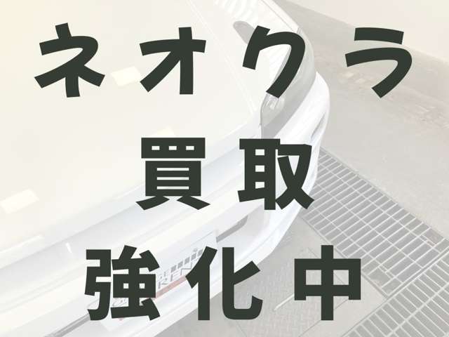 U00048452905_3_002.jpg