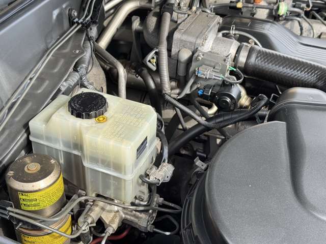 U00048192681_47_001.jpg