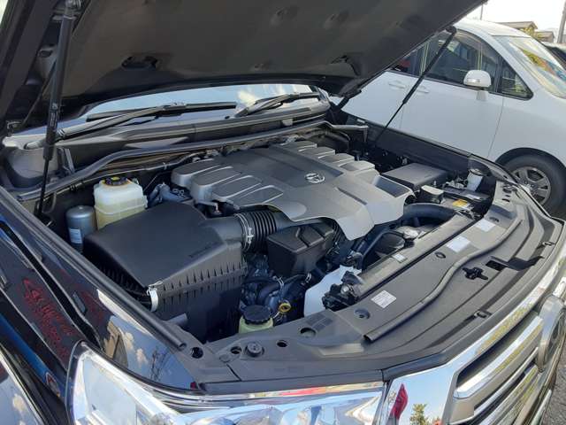 U00047177591_50_001.jpg