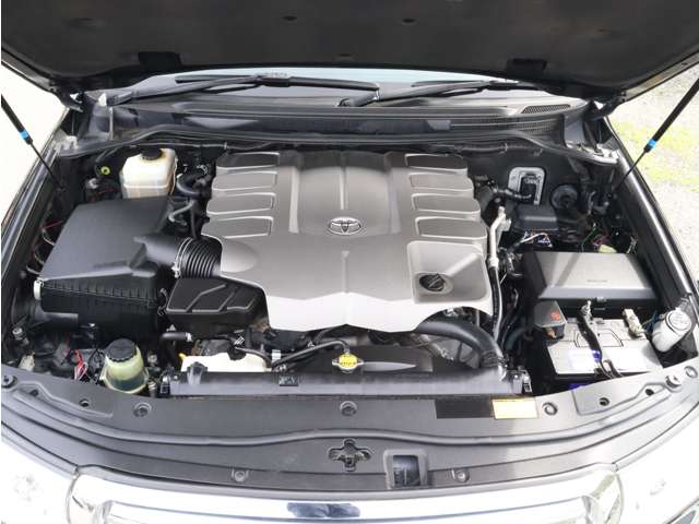 U00044981213_10_001.jpg