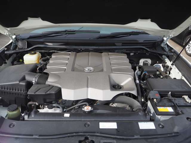 U00046931849_67_001.jpg