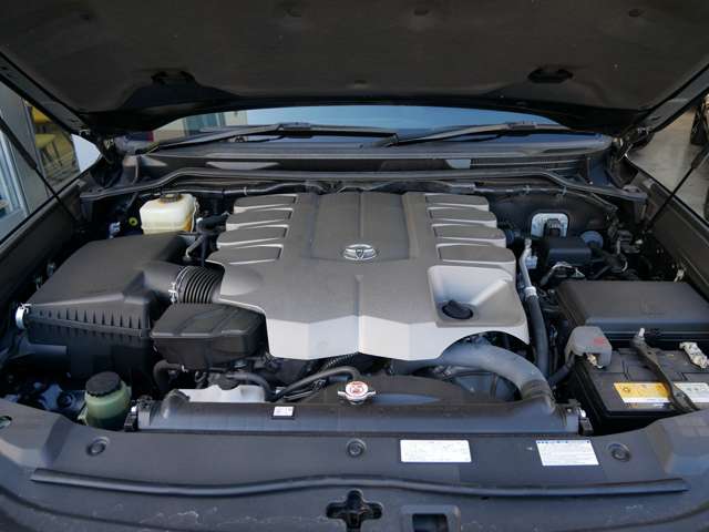 U00048067812_31_001.jpg