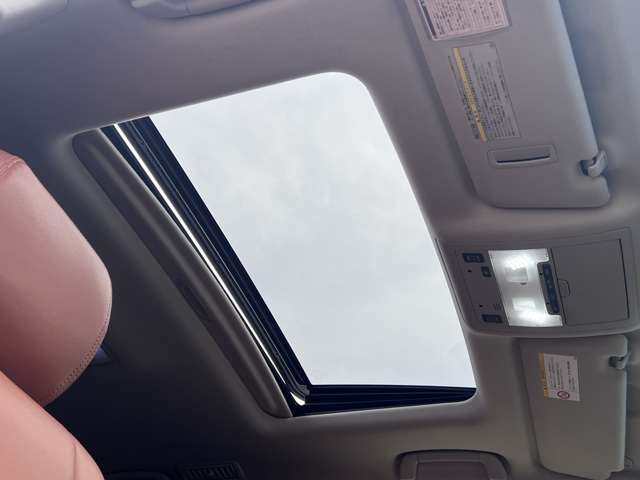 U00042297710_15_001.jpg