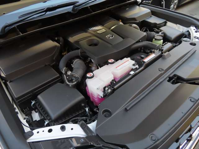 U00048005365_31_001.jpg