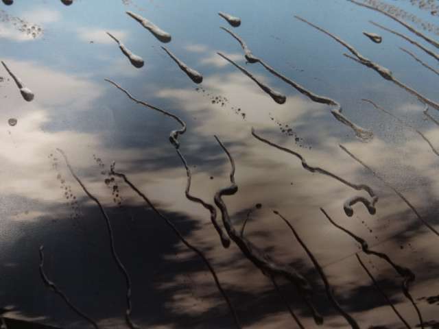 U00045902297_25_001.jpg
