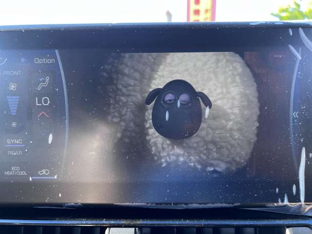 U00045856297_11_002.jpg