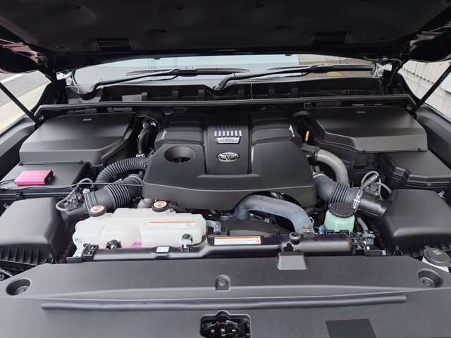 U00044312452_56_001.jpg