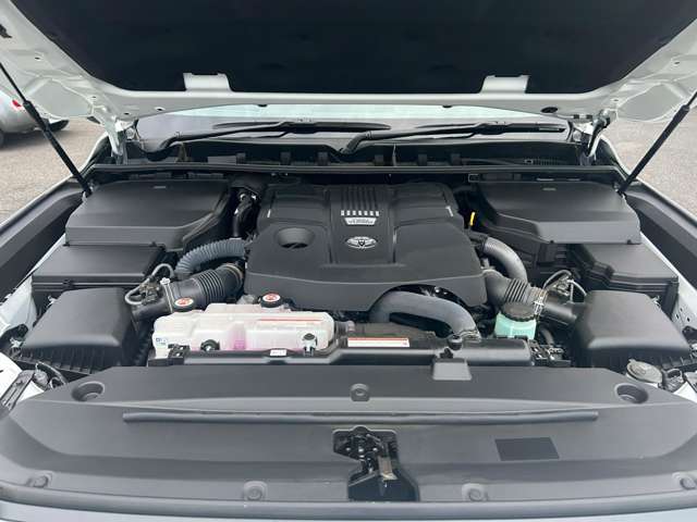 U00047238215_55_002.jpg