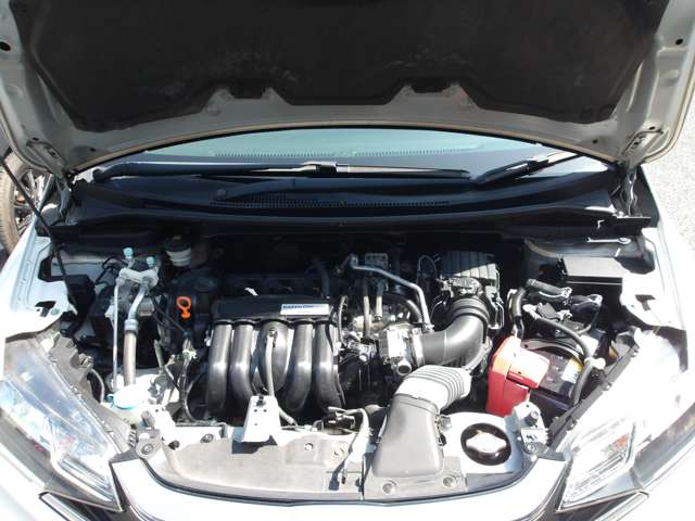 U00048413421_31_001.jpg