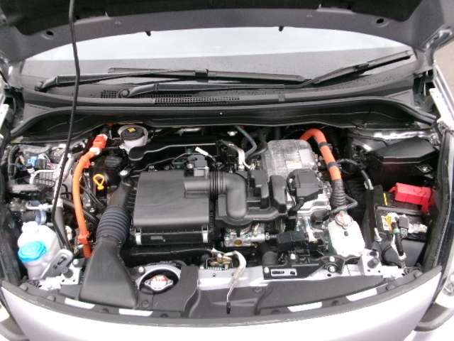 U00048505171_36_001.jpg