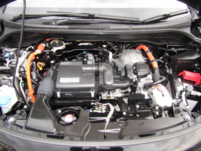 UZ0048460907_1_001.jpg