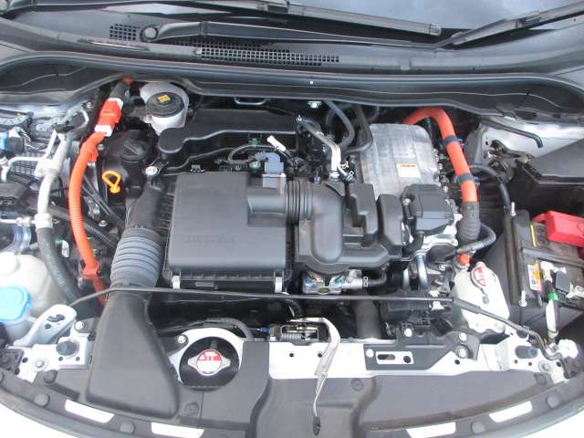 U00046635919_71_001.jpg
