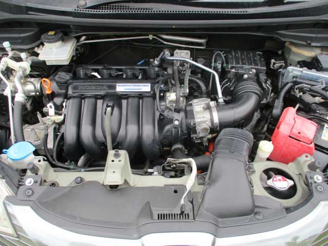 U00045138939_77_001.jpg