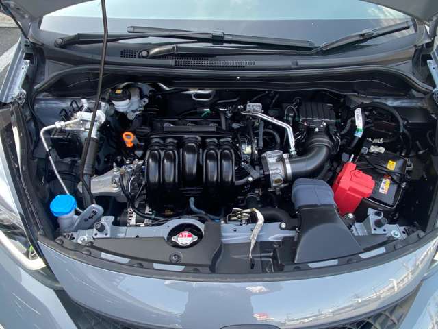 U00048300500_30_001.jpg