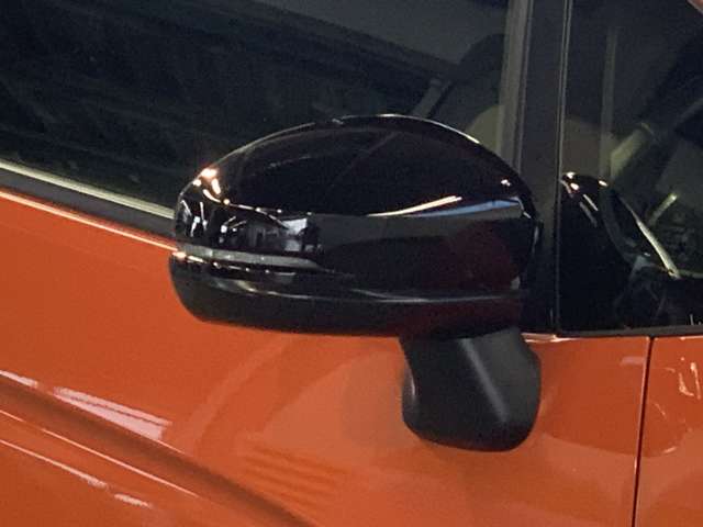 U00048249904_36_001.jpg