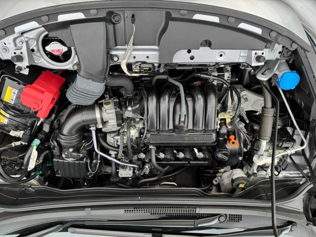 U00048366819_42_001.jpg